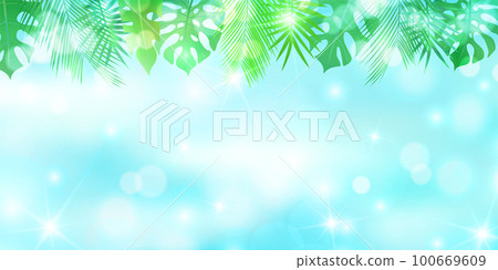 Palm foliage plant tropical background 100669609