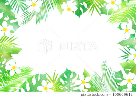 Palm plumeria foliage plant background Palm plumeria foliage plant background 100669612