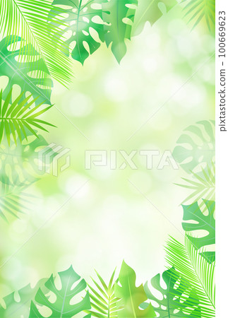 Palm foliage plant tropical background 100669623