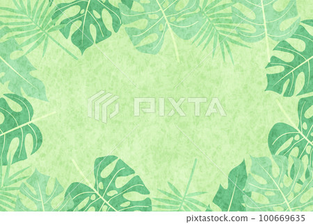 Palm foliage plant tropical background Palm foliage plant tropical background 100669635