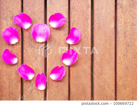 Background of heart from fresh rose petals. Creative layout with beautiful pink flower leafts. 100669722