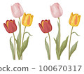 [Spring flowers] Realistic vector illustration of pink, red and yellow tulips 100670317