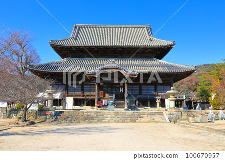 [山口縣]晴天時的周國分寺金堂 100670957