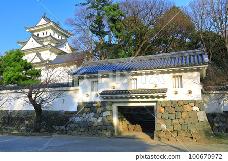 [Gifu Prefecture] Ogaki Castle in sunny weather 100670972