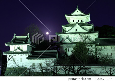 [Gifu Prefecture] Ogaki Castle and the full moon 100670982