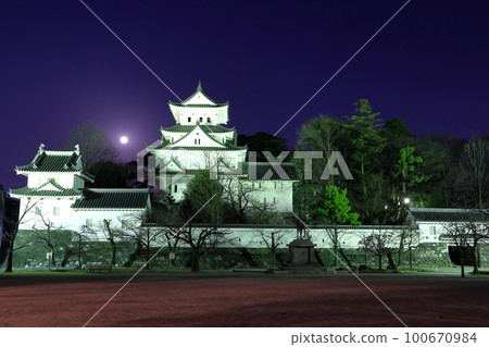[Gifu Prefecture] Ogaki Castle and the full moon 100670984