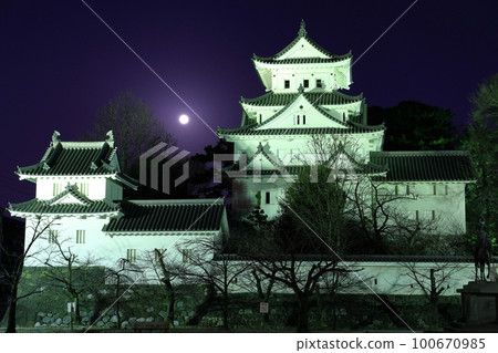[Gifu Prefecture] Ogaki Castle and the full moon 100670985