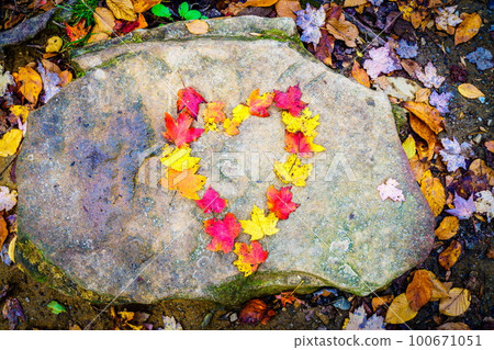 Loving autumn 100671051