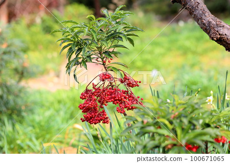 Many facts 100671065