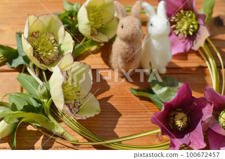 聖誕玫瑰和熊草花環和氈兔 100672457