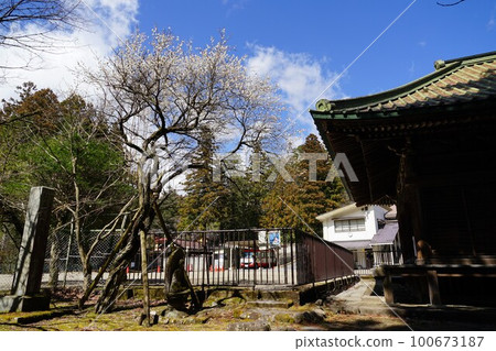 栃木縣日光市四本龍寺觀音堂周圍的風景 栃木縣日光市四本龍寺觀音堂周圍的風景 100673187