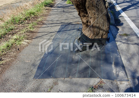 樹根鋪設防草布 樹根鋪設防草布 100673414
