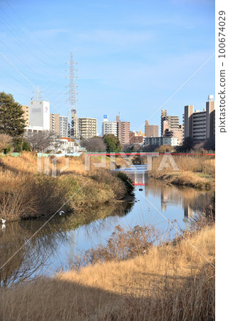 《Aichi Prefecture》Nagoya City Scenery Tenpaku Ward Tenshiro River Green Area 《Aichi Prefecture》Nagoya City Scenery Tenpaku Ward Tenshiro River Green Area 100674029