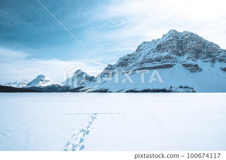 Bow Lake (Canada - Canadian Rockies) 100674117
