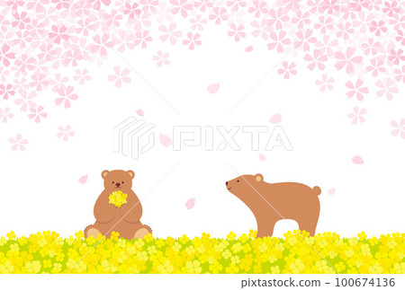 熊、櫻花和油菜花田的背景插圖 100674136