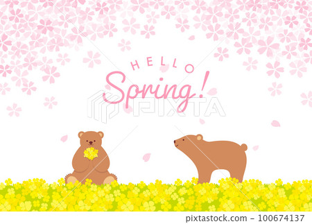 熊、櫻花和油菜花田的背景插圖 100674137