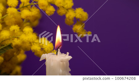 Candle flame and yellow mimosa flowers over purple Candle flame and yellow mimosa flowers over purple 100674208