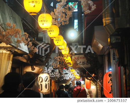 Night view of Omoide Yokocho, Shinjuku 100675337