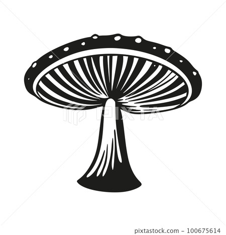 Magic mushroom nature vector silhouette black line contour drawing with funguses 100675614