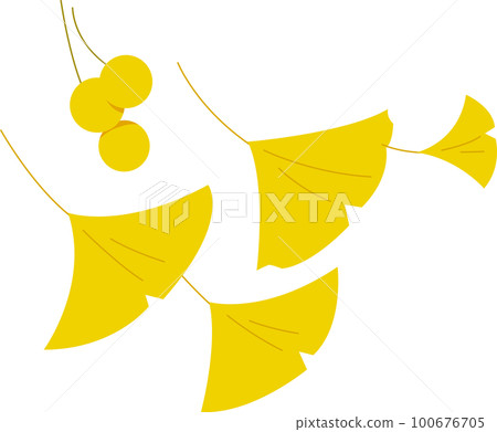 Ginkgo 100676705