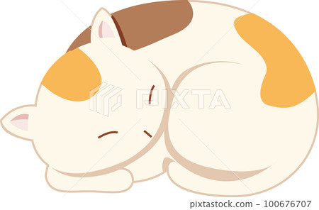 邁克貓 100676707