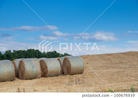 收穫後的小山和小麥卷 100676939