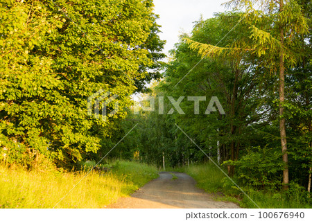 暮光之城 100676940