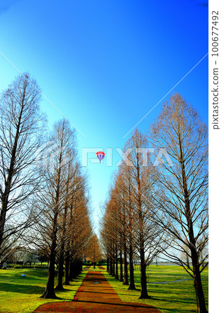 early spring balloon 100677492