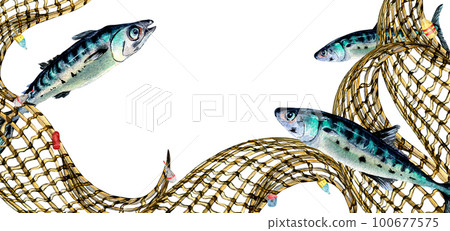 Composition of mackerel and fishnet watercolor illustration isolated on white. 100677575