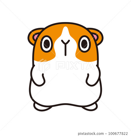 Guinea pig illustration loose character 100677822