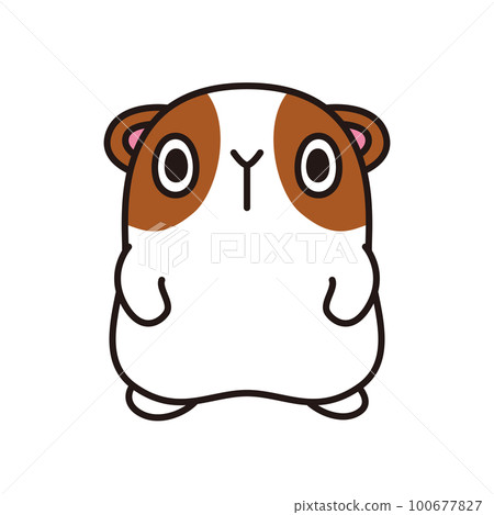 豚鼠插圖鬆散的性格 豚鼠插圖鬆散的性格 100677827