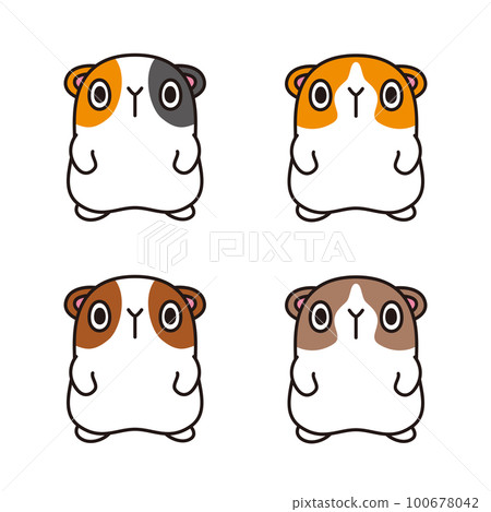 Guinea pig illustration loose character set Guinea pig illustration loose character set 100678042