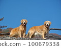 Will and Karna in the blue sky 100679338