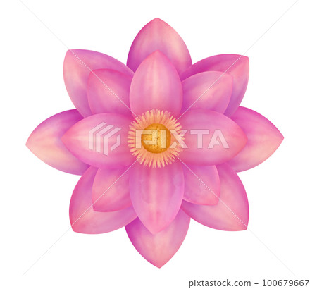 flower, lotus, blossom 100679667