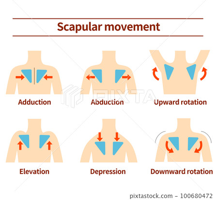 yoga, medicine, vector 100680472