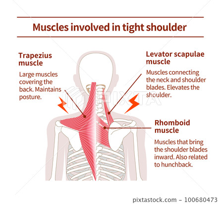 yoga, medicine, vector 100680473