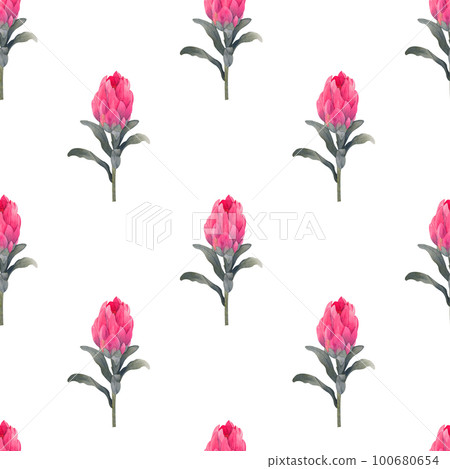 Watercolor seamless pattern with magenta protea, floral background blooming flowers and protea leaves. Watercolor seamless pattern with magenta protea, floral background blooming flowers and protea leaves. 100680654