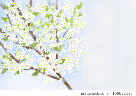 Li (plum) flower 1 100682183