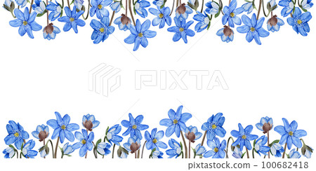 Hepatica blue spring flowers banner. Watercolor illustration Isolated on white background 100682418