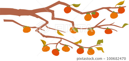 persimmon 100682470