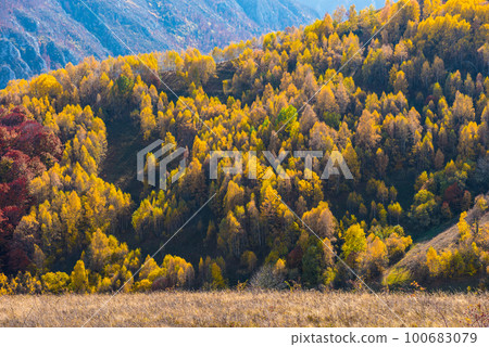 Colorful autumn landscape 100683079
