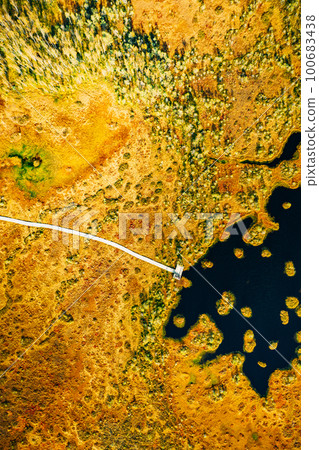 Miory District, Vitebsk Region, Belarus. The Yelnya Swamp. Aerial View Of Yelnya Nature Reserve Landscape. Narrow Wooden Hiking Trail Winding Through Marsh. Cognitive Boardwalk Trail Over A Wetland Miory District, Vitebsk Region, Belarus. The Yelnya Swamp. Aerial View Of Yelnya Nature Reserve Landscape. Narrow Wooden Hiking Trail Winding Through Marsh. Cognitive Boardwalk Trail Over A Wetland 100683438
