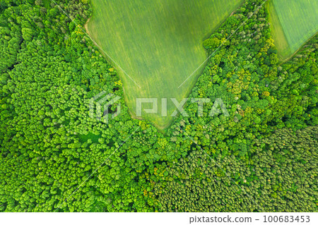 Aerial View Spring Green Field And Forest Landscape. Top View Of Field And Forest Belt. Bird's Eye View Aerial View Spring Green Field And Forest Landscape. Top View Of Field And Forest Belt. Bird's Eye View 100683453