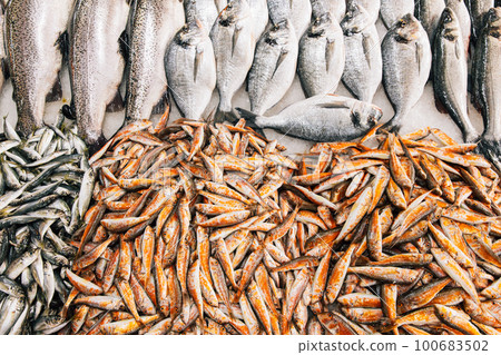 Fresh Sea Salmon, European Anchovy Fish and Mullus On Display On Ice On Market Store Shop. Seafood Fish Background. Salmon Is A Fairly Species Of Salmon. European Anchovy Is Forage Fish Somewhat. 100683502