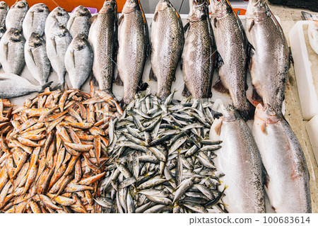 Fresh Sea Salmon, European Anchovy Fish and Mullus On Display On Ice On Market Store Shop. Seafood Fish Background. Salmon Is A Fairly Species Of Salmon. European Anchovy Is Forage Fish Somewhat. Fresh Sea Salmon, European Anchovy Fish and Mullus On Display On Ice On Market Store Shop. Seafood Fish Background. Salmon Is A Fairly Species Of Salmon. European Anchovy Is Forage Fish Somewhat. 100683614
