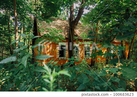 Abandoned House Overgrown With Trees And Vegetation In Chernobyl Resettlement Zone. Chornobyl Catastrophe Disasters. Dilapidated House In Belarusian Village. Whole Villages Must Be Disposed Abandoned House Overgrown With Trees And Vegetation In Chernobyl Resettlement Zone. Chornobyl Catastrophe Disasters. Dilapidated House In Belarusian Village. Whole Villages Must Be Disposed 100683623