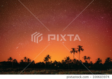 Goa, India. Amazing Night Bright Orange Sky Glowing Stars Background Backdrop With Sky Gradient. Coconut Trees Palms Landscape. Colorful Night Starry Sky Gradient. Bright Yellow And Orange Colors Goa, India. Amazing Night Bright Orange Sky Glowing Stars Background Backdrop With Sky Gradient. Coconut Trees Palms Landscape. Colorful Night Starry Sky Gradient. Bright Yellow And Orange Colors 100683974