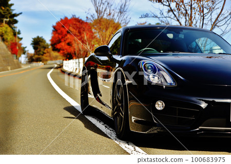 sleek black sports car sleek black sports car 100683975