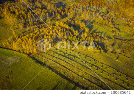 Drone view of autumn meadow and forest 100685641