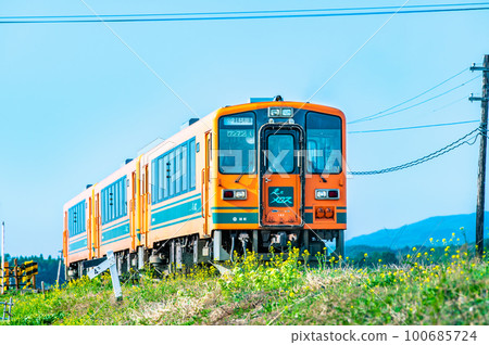 Tsugaru Railway A train running through the Tsugaru Plain ~Near Iizume Station~ Tsugaru Railway A train running through the Tsugaru Plain ~Near Iizume Station~ 100685724